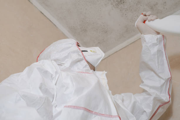 Best Asbestos and Lead Testing During Mold Inspection  in Woodlawn, OH